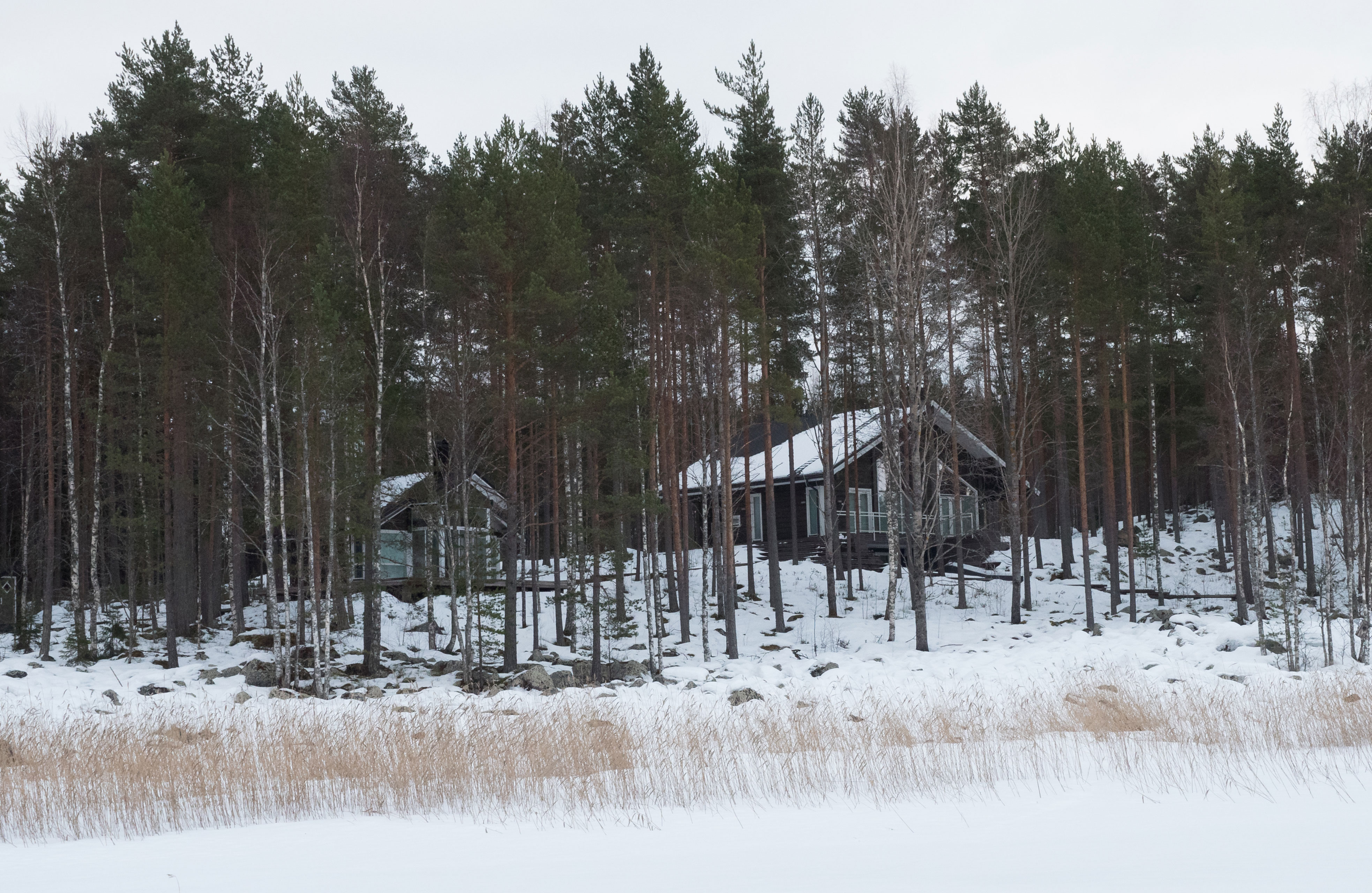 Tältä Vettelin kesämökki näyttää talvella Päijänteeltä kuvattuna.