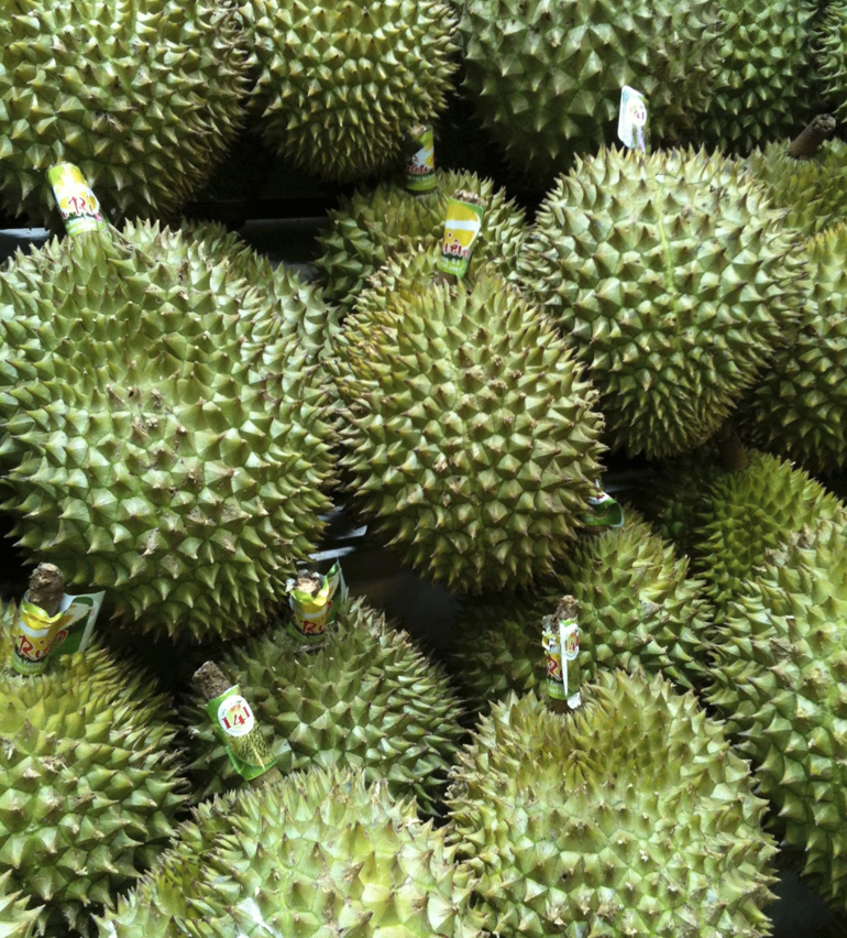 durian