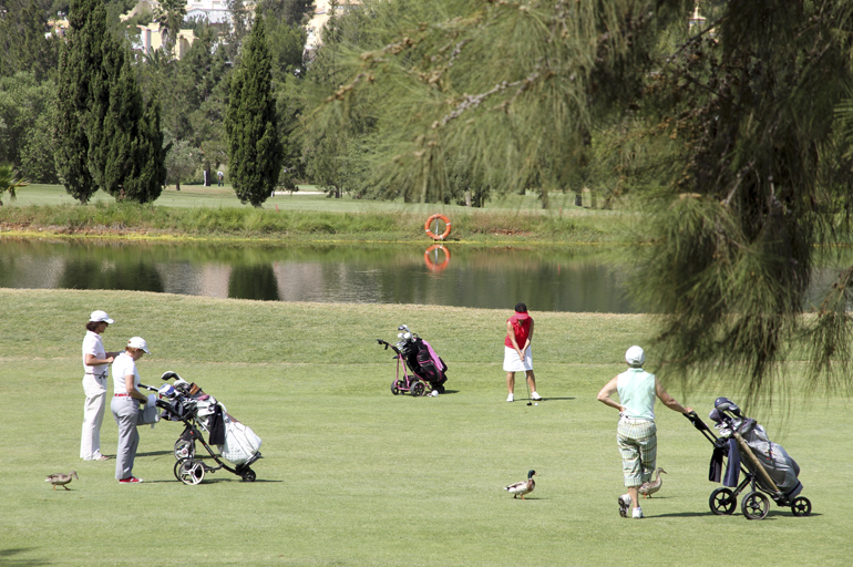 golf