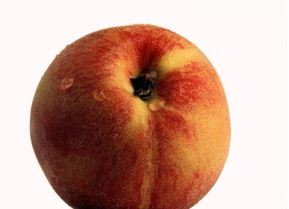 julkkikset